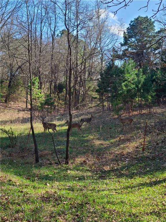 18772 Davis Road — photo 39